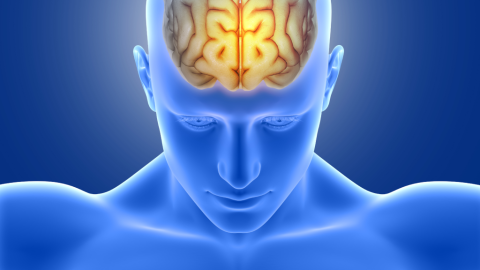 Viacjazyční ľudia starnú pomalšie ako monolinguálni, tvrdí štúdia