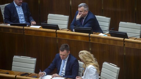 Diskusia o odvolávaní ministerky Šimkovičovej rozpútala slovnú prestrelku medzi poslancami SNS a PS