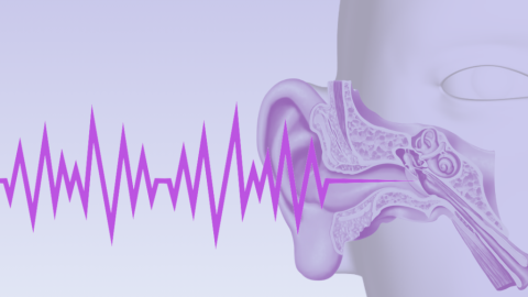 Elektrická stimulácia zvukovodu sľubne pomáha liečiť hučanie v ušiach (Štúdia)