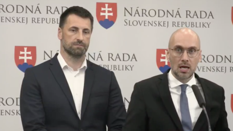 SaS navrhuje stiahnutie energetických zákonov z rokovania parlamentu, má sa v nich pripravovať utajovaný miliardový kšeft
