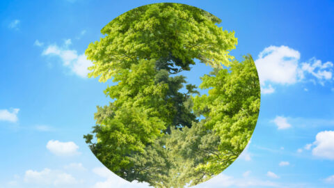 Grantový program podporí projekty zamerané na zmiernenie klimatických zmien