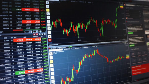 Prvý polrok priniesol na trhy volatilitu aj rekordné výnosy, investori profitovali z diverzifikácie