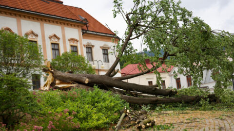 Mimoriadna situácia po veternej smršti platí stále v 40 obciach