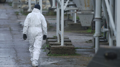 Pre výskyt vtáčej chrípky likvidujú v Česku viac ako 70-tisíc kusov hydiny