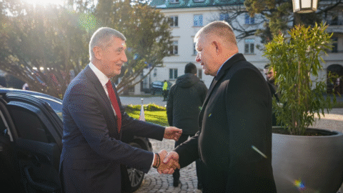 Babiš je podľa Šeligu v konflikte záujmov vo vzťahu k slovenskej vláde, v deň jeho oficiálnej návštevy SR mu Demokrati adresovali výzvu