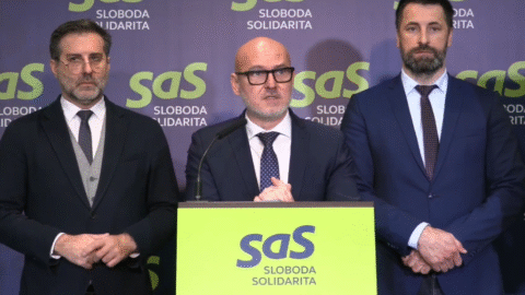 Strana SaS kritizuje pôsobenie ministerky kultúry Martiny Šimkovičovej