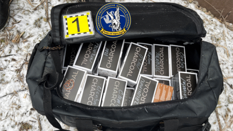 Počas akcie Cézar zaistili policajti anaboliká v mimoriadne veľkých množstvách