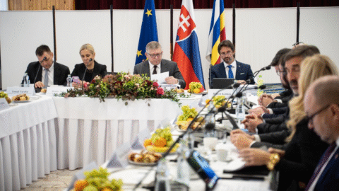 Vláda: Štátne orgány posilnia kontrolu nad mimovládkami iným spôsobom, keďže ústavný súd vládnu novelu stopol