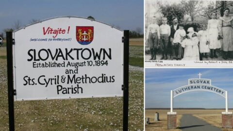 Slovaktown, Arkansas: ako Slováci založili vlastnú obec a stali sa ryžovými kráľmi Ameriky